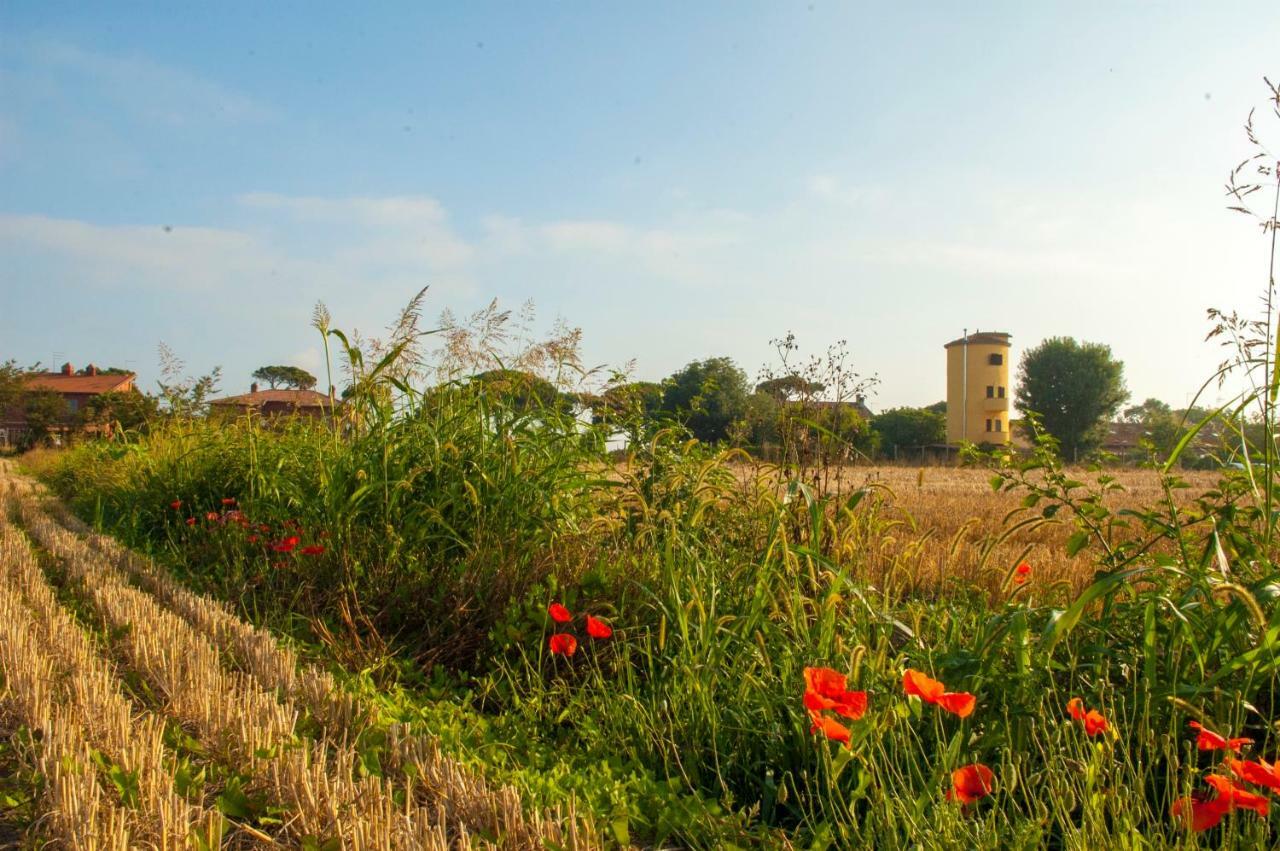 Il Silos Маккарезе Экстерьер фото