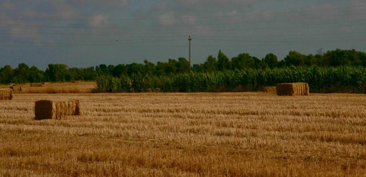 Il Silos Маккарезе Экстерьер фото